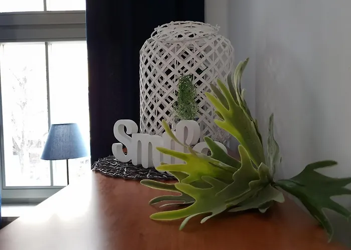 Apartment Kierunek Gracja Monte Cassino 36 *