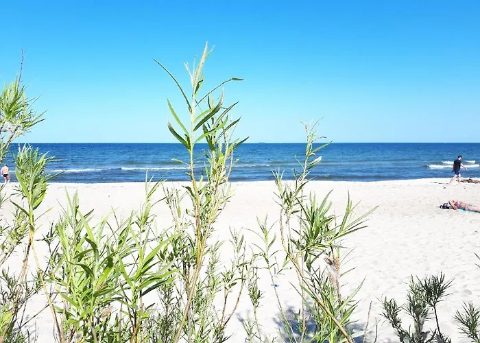 Kierunek Gracja Monte Cassino 36 * Сопот